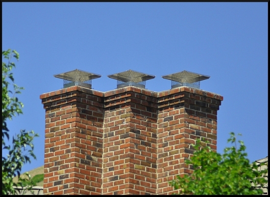 Chimney cap in Kansas City home