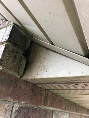 Hole in soffit in Kansas City Metro