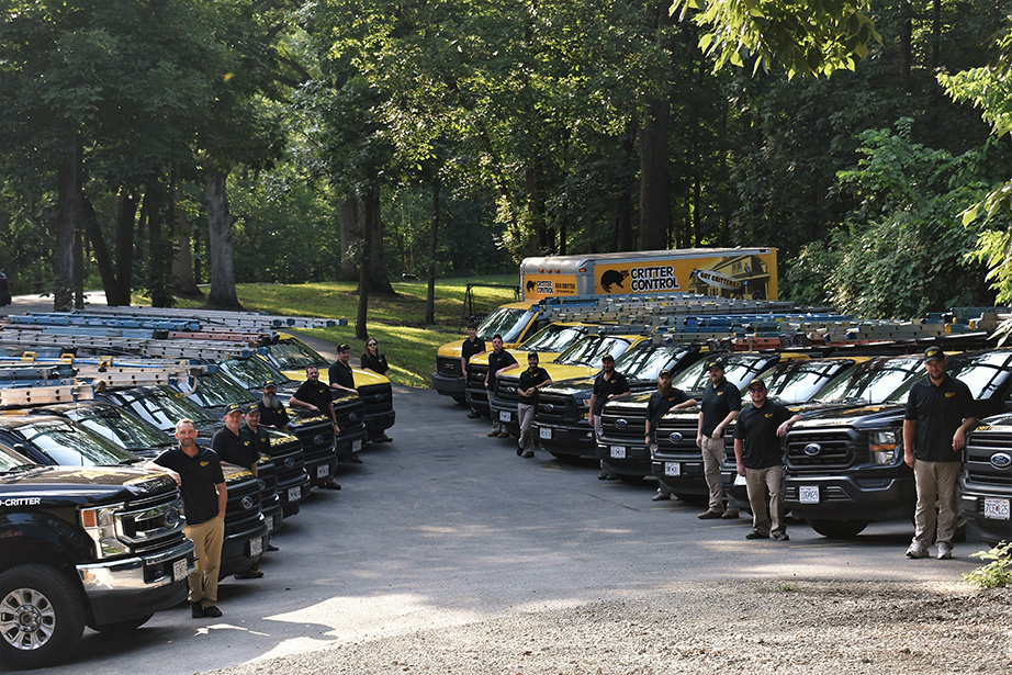 Critter Control Kansas City Professional Wildlife Control Technicians in front of Yellow Critter Control Trucks
